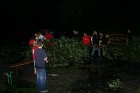 Camp 2011 (3204)